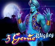 3 Genie Wishes